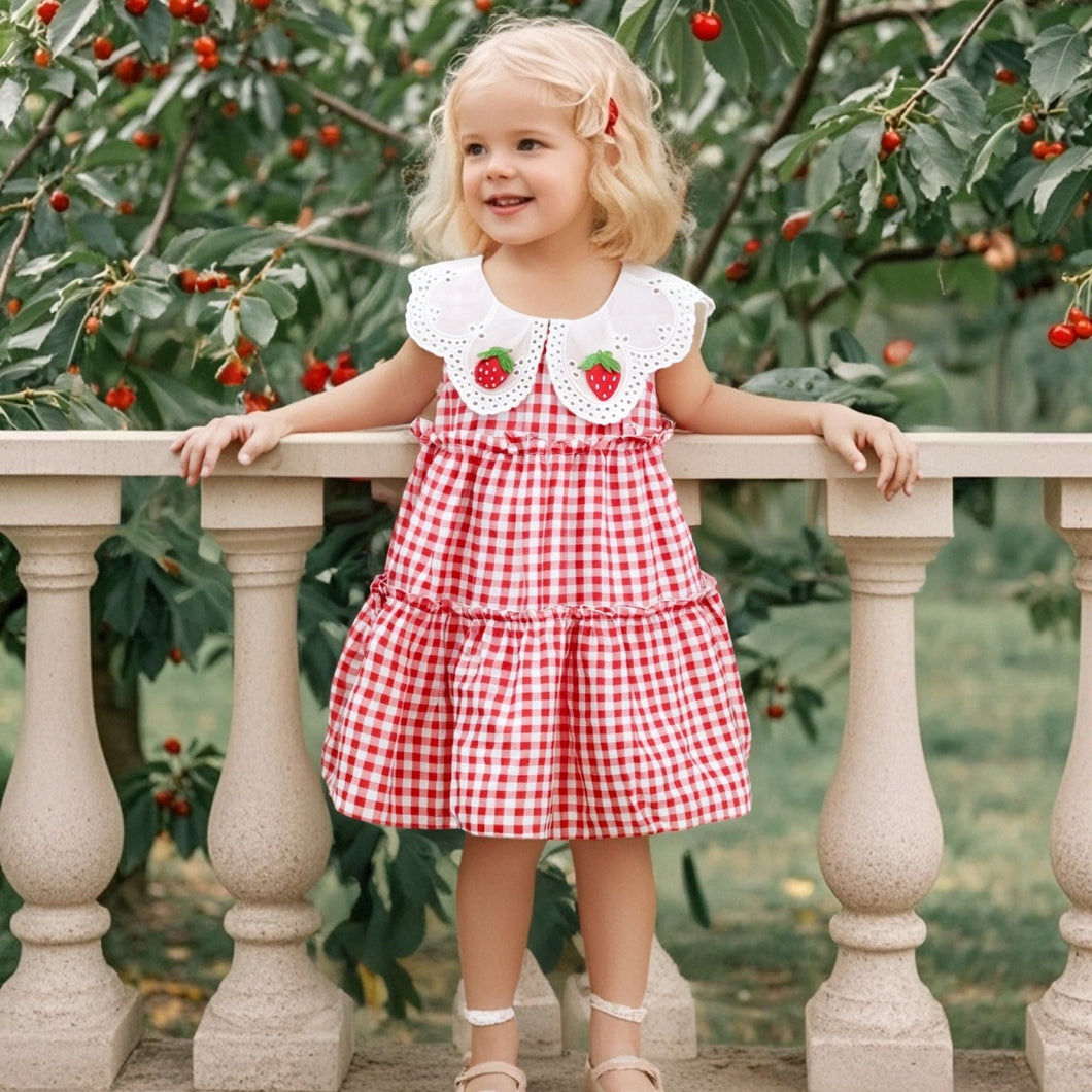 Vestido Maria Xadrez Vermelho com Gola de Moranguinhos 🍓✨
