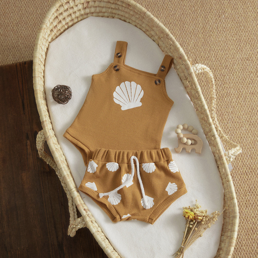Conjunto Conchas